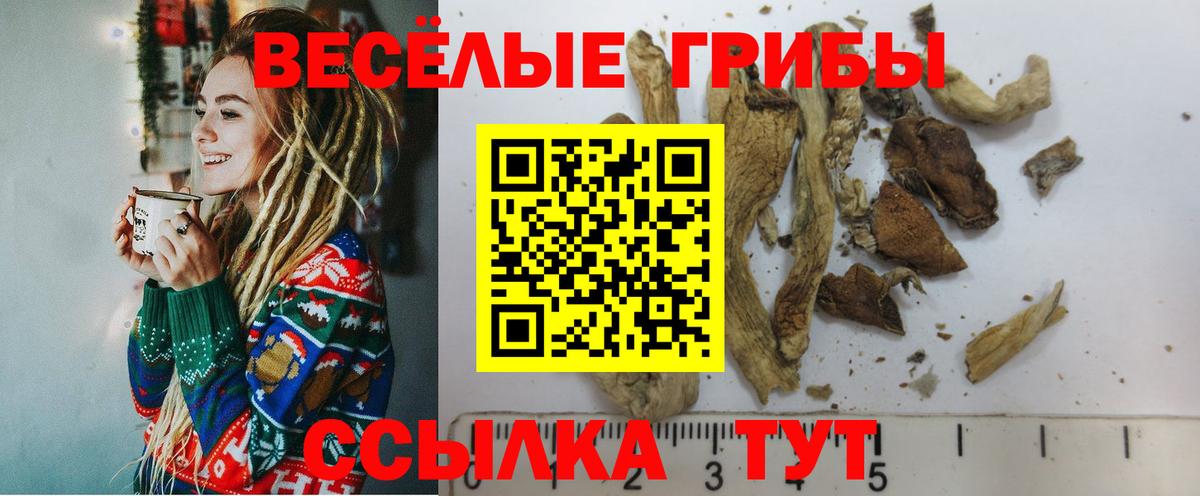Галлюциногенные грибы прущие грибы  Вход с VPN  Брянск 