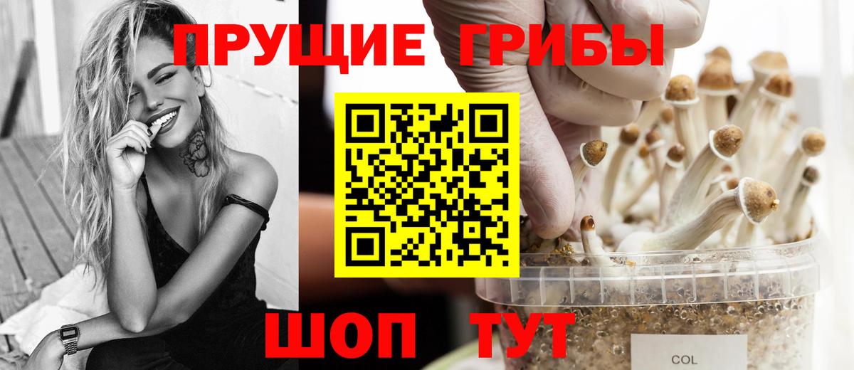 Галлюциногенные грибы MAGIC MUSHROOMS Брянск